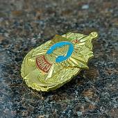 Знак нагрудный НВМУ ( Нахимовское военно-морское училище ) закрутка золотистый (2301080) - ВОЕНТОРГ ТЫЛОВИК
