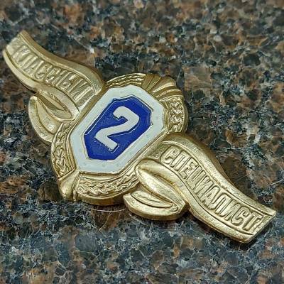 Знак нагрудный Классность рядовой состав 2 класс булавка (2301121) - HAKKI.RU