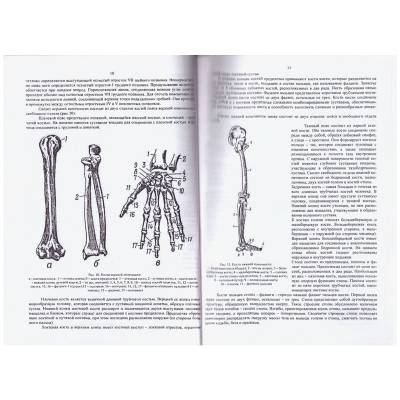 Книга ( учебник ) Санитарного инструктора / Медицинская служба (4317123) - HAKKI.RU
