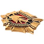 Знак нагрудный ОТЛИЧНЫЙ ПОЖАРНЫЙ закрутка (2301061) - ВОЕНТОРГ ТЫЛОВИК
