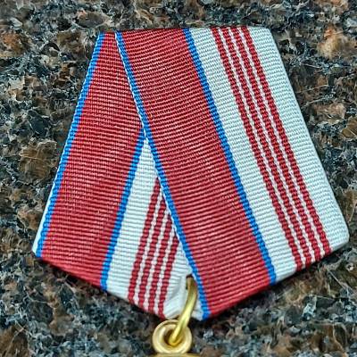 Медаль ФСВНГ ( Росгвардия ) РФ - За содействие (2401963) - HAKKI.RU