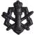 Эмблема ( знак ) петличная ( петлица ) ФСИН России черная (2102992) - HAKKI.RU