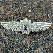 Знак нагрудный Классность офицерского состава ФСО России 3 класс закрутка (2301298) - ВОЕНТОРГ ТЫЛОВИК