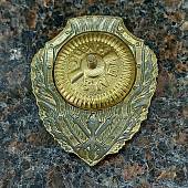 Знак нагрудный ОТЛИЧНЫЙ ПОЖАРНИК (2305001) - ВОЕНТОРГ ТЫЛОВИК