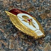 Знак нагрудный Военное училище авиационно-планерное СССР закрутка (2301935) - ВОЕНТОРГ ТЫЛОВИК