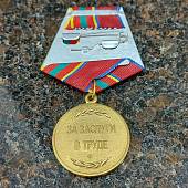 Медаль ФСВНГ ( Росгвардия ) РФ - За заслуги в труде (2401961) - ВОЕНТОРГ ТЫЛОВИК
