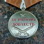Медаль За ратную доблесть / Родине честь и отвага (2401903) - ВОЕНТОРГ ТЫЛОВИК