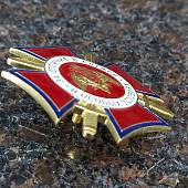Знак нагрудный ( крест ) ФСВНГ ( Росгвардия ) РФ / За отличие в службе в особых условиях закрутка (2301531) - ВОЕНТОРГ ТЫЛОВИК