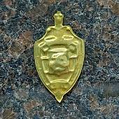 Жетон ( знак ) ГУВД Москвы 46 мм без крепления золотистый (2306996) - ВОЕНТОРГ ТЫЛОВИК