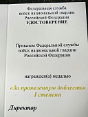 Медаль ФСВНГ ( Росгвардия ) РФ - ЗА ПРОЯВЛЕННУЮ ДОБЛЕСТЬ 1 степени (2401407) - ВОЕНТОРГ ТЫЛОВИК