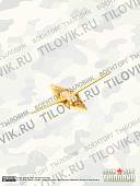 Эмблема ( знак ) петличная ( петлица ) ромб (2102110) - ВОЕНТОРГ ТЫЛОВИК