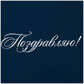 Папка для документов Поздравляю! А4 твердая синяя (4305047) - ВОЕНТОРГ ТЫЛОВИК