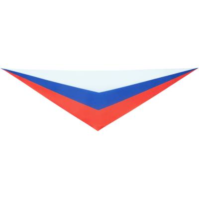 Галстук Флаг России триколор 110х35 (1603064) - HAKKI.RU