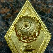 Знак нагрудный ( ромб ) Высшее медицинское образование закрутка (2301244) - ВОЕНТОРГ ТЫЛОВИК