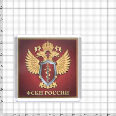 Магнит с символикой ФСКН России бордовый (4404026) - HAKKI.RU