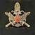Знак фрачный УБЭП ( Управление по борьбе с экономическими преступлениями ) на пимсе (2302114) - HAKKI