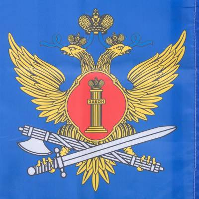 Флаг ФСИН ( Федеральная служба исполнения наказаний ) РФ 40х60 (4704977) - HAKKI.RU