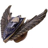 Знак нагрудный Спецназ крылья ВДВ ( летучая мышь ) закрутка (2301233) - ВОЕНТОРГ ТЫЛОВИК