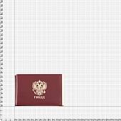 Зажим для денег ( купюр ) с удостоверением ГИБДД бордовый (4202019) - ВОЕНТОРГ ТЫЛОВИК