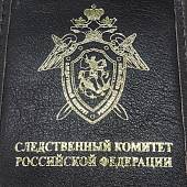 Обложка ( чехол ) для электронного пропуска ( пластиковой карты ) СЛЕДСТВЕННЫЙ КОМИТЕТ РФ коричневая (4206025) - ВОЕНТОРГ ТЫЛОВИК