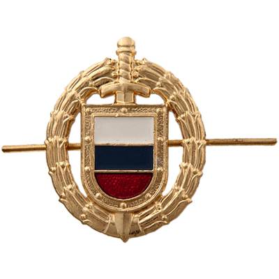 Эмблема ( знак ) петличная ( петлица ) ФСО России золотистая (2102006) - HAKKI.RU