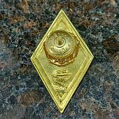 Знак нагрудный ( ромб ) Высшее медицинское образование закрутка (2301244) - ВОЕНТОРГ ТЫЛОВИК