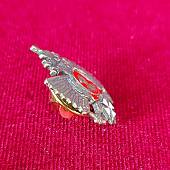 Знак фрачный Герб ( Орел ) РФ СВУ ( Суворовское военное училище ) (2302964) - ВОЕНТОРГ ТЫЛОВИК
