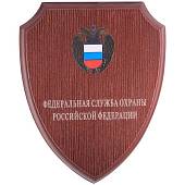 Плакетка с символикой ФСО 250х200 (4406076) - ВОЕНТОРГ ТЫЛОВИК