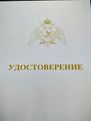 Знак нагрудный ФСВНГ ( Росгвардия ) РФ ОТЛИЧНИК СЛУЖБЫ в финансово-экономических подразделениях (2301643) - ВОЕНТОРГ ТЫЛОВИК