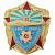Знак нагрудный Военно-воздушные силы СССР 1941-1945 булавка оригинал (2301026) - HAKKI