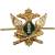 Эмблема ( знак ) петличная ( петлица ) ФССП России золотистая (2102991) - HAKKI.RU