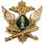 Эмблема ( знак ) петличная ( петлица ) ФССП России золотистая (2102991) - HAKKI.RU