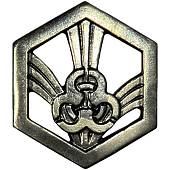 Эмблема ( знак ) петличная ( петлица ) РХБЗ защитная (2102084) - ВОЕНТОРГ ТЫЛОВИК