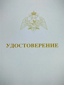 Знак нагрудный ФСВНГ ( Росгвардия ) РФ ОТЛИЧНИК СЛУЖБЫ в в/ч (подразделениях), выполняющих задачи по охране важных государственных объектов (2301637) - ВОЕНТОРГ ТЫЛОВИК