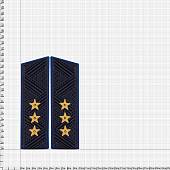 Погоны ФСБ / ФСО повседневные на китель Генерал - полковник скос ручная вышивка золото5%(2211030) - ВОЕНТОРГ ТЫЛОВИК