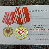 Медаль ВОЛОНТЕР / ЗА ОСОБЫЕ ЗАСЛУГИ (2401270) - ВОЕНТОРГ ТЫЛОВИК