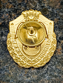 Знак нагрудный ФСВНГ ( Росгвардия ) РФ ОТЛИЧНИК СЛУЖБЫ в воинских частях (подразделениях) РХБЗ (2301641) - ВОЕНТОРГ ТЫЛОВИК