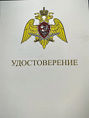 Медаль ФСВНГ ( Росгвардия ) РФ - ЗА ПРОЯВЛЕННУЮ ДОБЛЕСТЬ 3 степени (2401409) - ВОЕНТОРГ ТЫЛОВИК