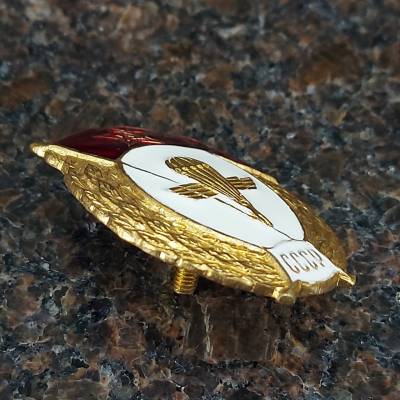 Знак нагрудный Военное училище ВДВ ( крылья ) СССР закрутка (2301943) - HAKKI.RU