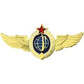 Знак нагрудный Классность ВКС Специалист закрутка (2301187) - ВОЕНТОРГ ТЫЛОВИК