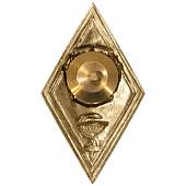Знак нагрудный ( ромб ) Высшее медицинское образование закрутка (2301244) - ВОЕНТОРГ ТЫЛОВИК