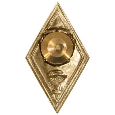 Знак нагрудный ( ромб ) Высшее медицинское образование закрутка (2301244) - HAKKI.RU