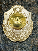 Знак нагрудный ФСВНГ ( Росгвардия ) РФ ОТЛИЧНИК СЛУЖБЫ в финансово-экономических подразделениях (2301643) - ВОЕНТОРГ ТЫЛОВИК