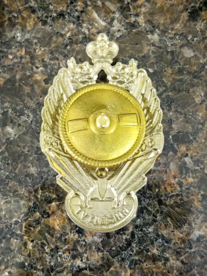 Знак нагрудный Голицынского пограничного института ФСБ РОССИИ закрутка (2301400) - HAKKI.RU