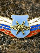 Знак должностной Начальника ведущего научно-исследовательскую деятельность ВКС закрутка (2309056) - ВОЕНТОРГ ТЫЛОВИК