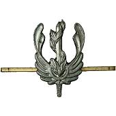 Эмблема ( знак ) петличная ( петлица ) Экологическая служба защитная (2102007) - ВОЕНТОРГ ТЫЛОВИК