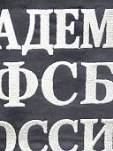 Футболка с символикой Академия ФСБ ( Федеральная служба безопасности ) России вышитая черная (1208282) - ВОЕНТОРГ ТЫЛОВИК