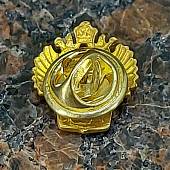Знак фрачный Эмблема ФТС ( таможня ) РФ на пимсе (2302064) - ВОЕНТОРГ ТЫЛОВИК