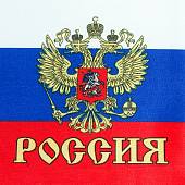 Флаг Российской Федерации с гербом на флагштоке 15х22 (4705979) - ВОЕНТОРГ ТЫЛОВИК