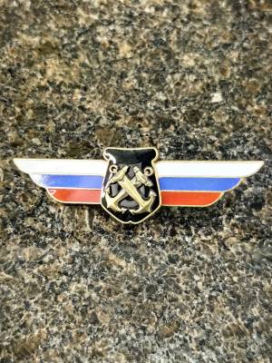 Знак должностной Начальника ( руководителя ) воинского формирования закрутка (2309064) - HAKKI.RU